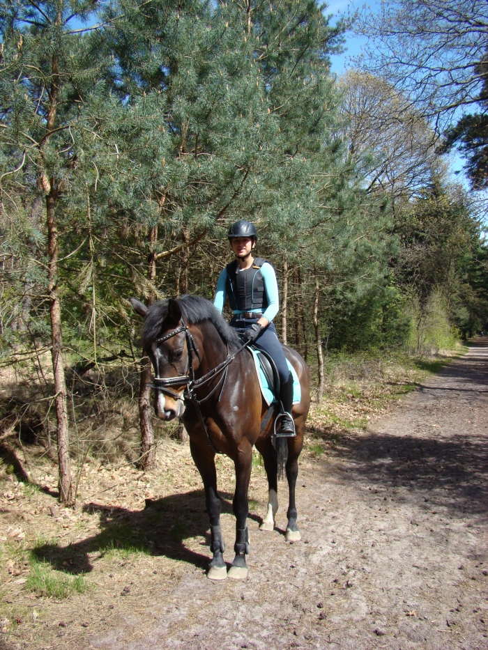 Gasvormig Verouderd verpleegster Paard recreatie (E-pony) te koop - PaardenHandelaren.com