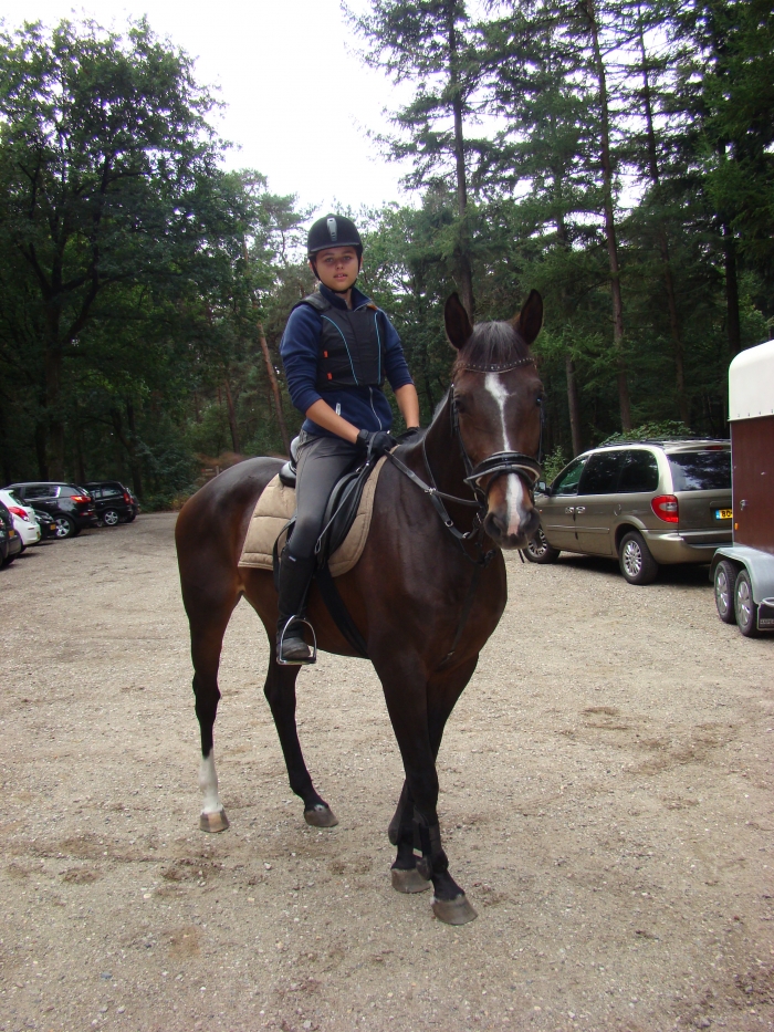 hoesten Sleutel Vluchtig Paard recreatie (E-pony) te koop - PaardenHandelaren.com