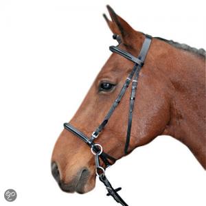 PaardenHandelaren.com