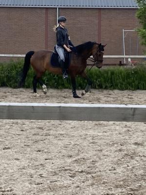 PaardenHandelaren.com