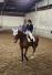 PaardenHandelaren.com