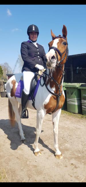 PaardenHandelaren.com