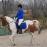 PaardenHandelaren.com