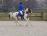 PaardenHandelaren.com