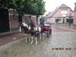 PaardenHandelaren.com