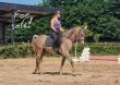 PaardenHandelaren.com