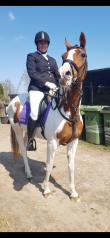 PaardenHandelaren.com