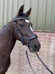 PaardenHandelaren.com